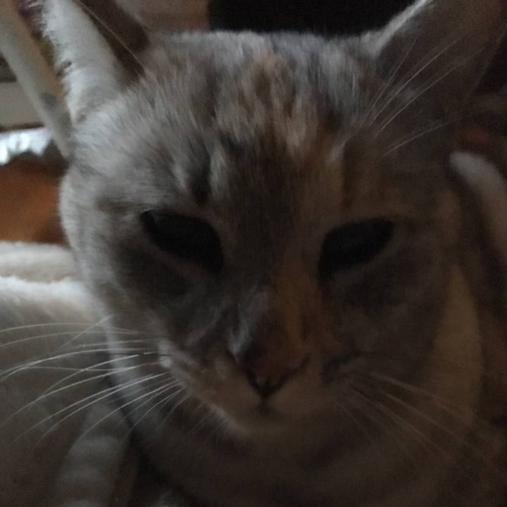 D055e2a9 92e2 4d46 94f5 b8d561e3df53