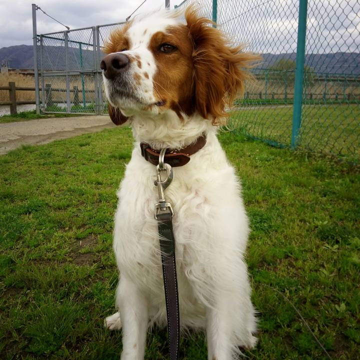 D0565cdc 92b9 483b a43f 6123c6f33f5e