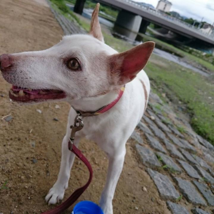 D056a875 d720 4ea7 9843 c04bb6d2a8a3