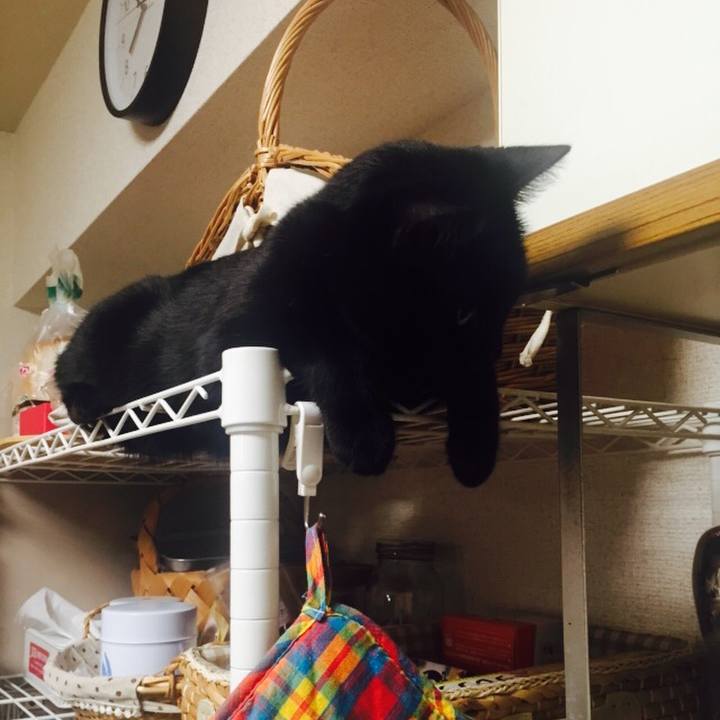 D0576f1e 03b3 44f4 a2d3 a45d248f61ff