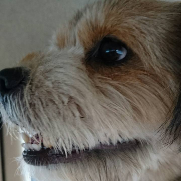 D057ef1b b538 4731 960b 3d28e0fb5023