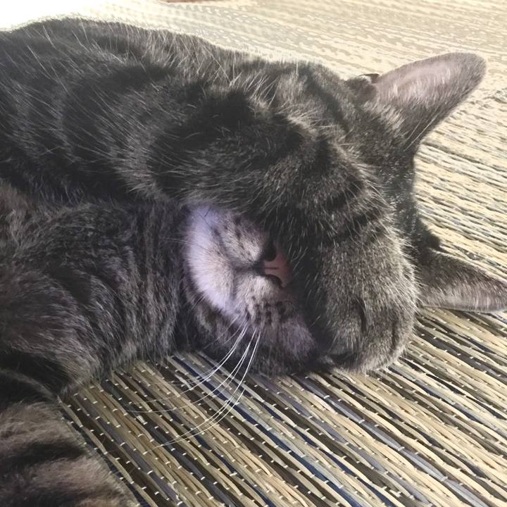 D058922f b654 427c 9ca9 153a68f8372b