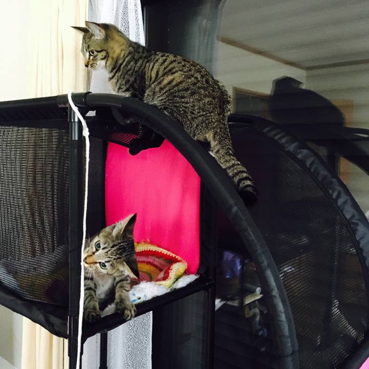 D05947ec e65b 46ff bf24 5d54a6976daa