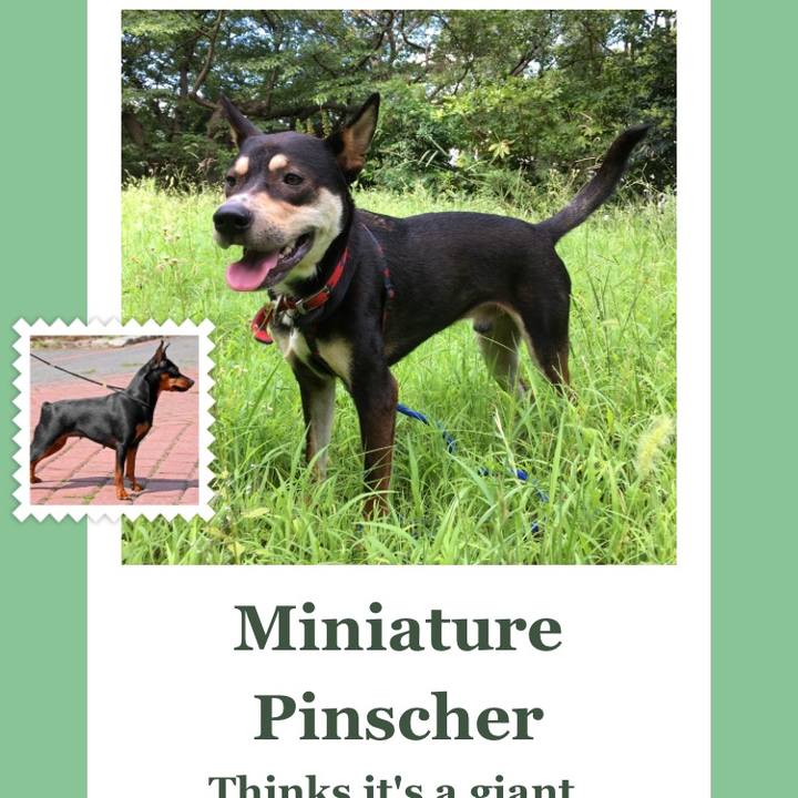 D0596dd6 6797 4e2b 9e19 96b7c1bae756