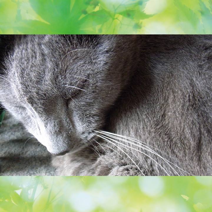 D05990a8 edaf 470c ad00 4bba6d8e7ce6