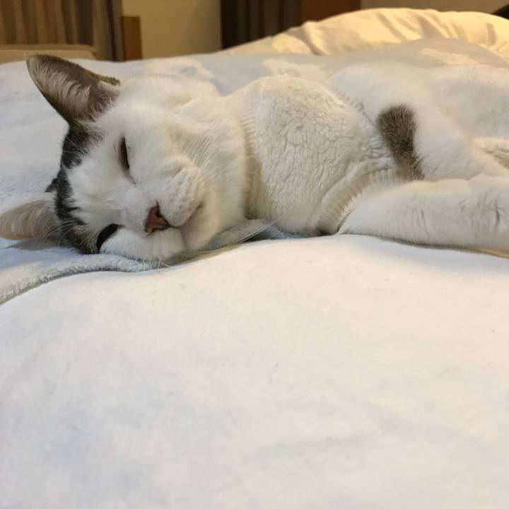 D0599a30 473b 4cdc a272 365bfb8af294