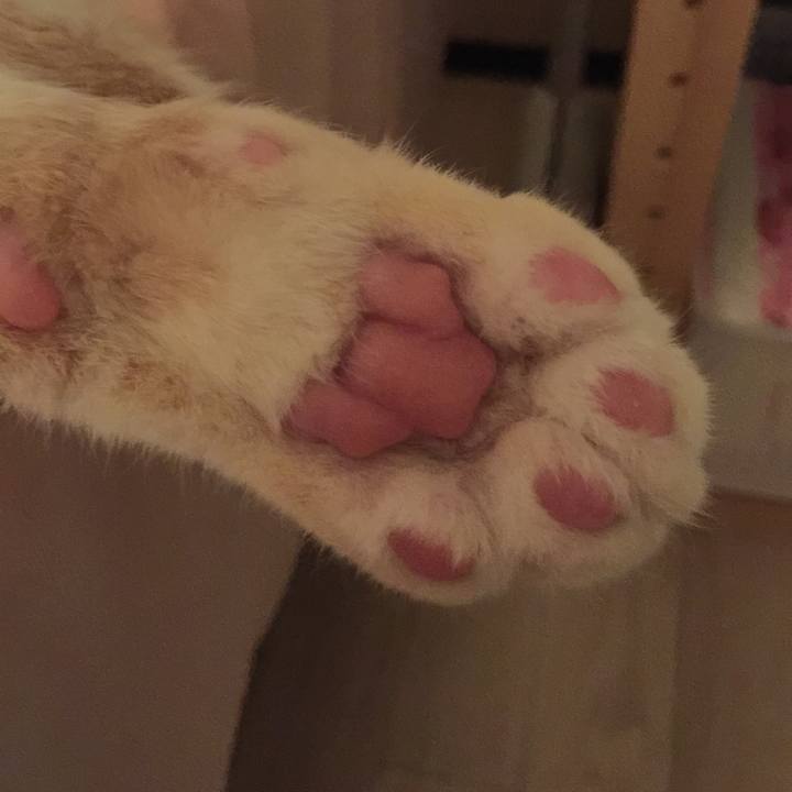 D05a474e a39c 43a9 a6fb b779f37d6a14