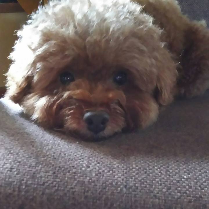 D05b4b8d 55b7 4250 bcbf 75ac90f8786d