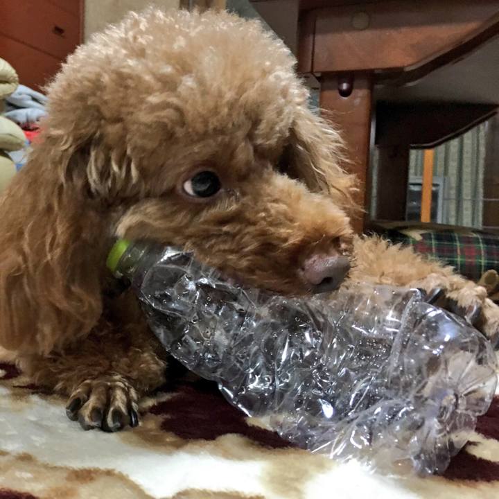 D05baed3 9ea6 415c 8ae5 45ea22203214