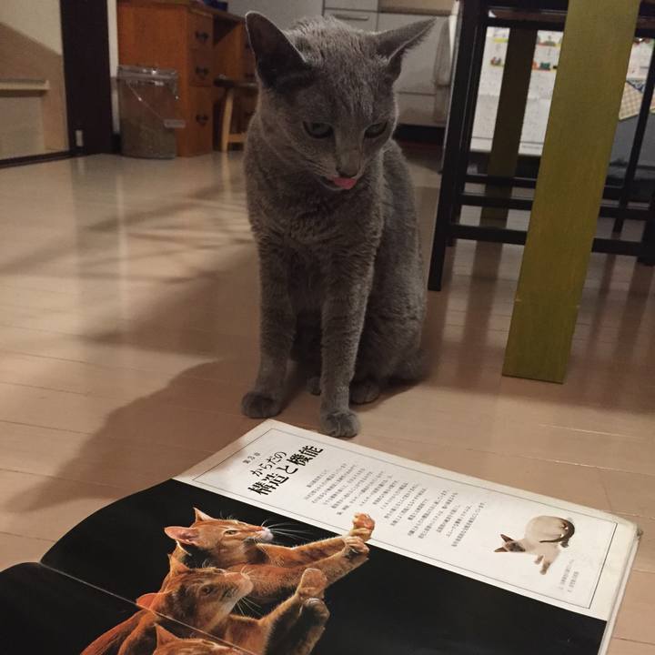 D05c1f6e 3f28 4768 bd5a af36616ece05