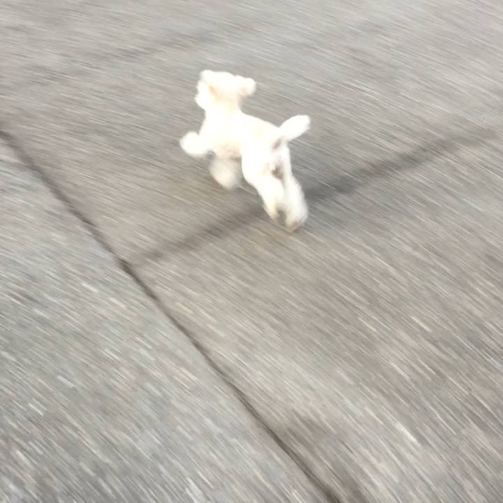 D05c6142 3174 4963 b483 5fc78b6af99b