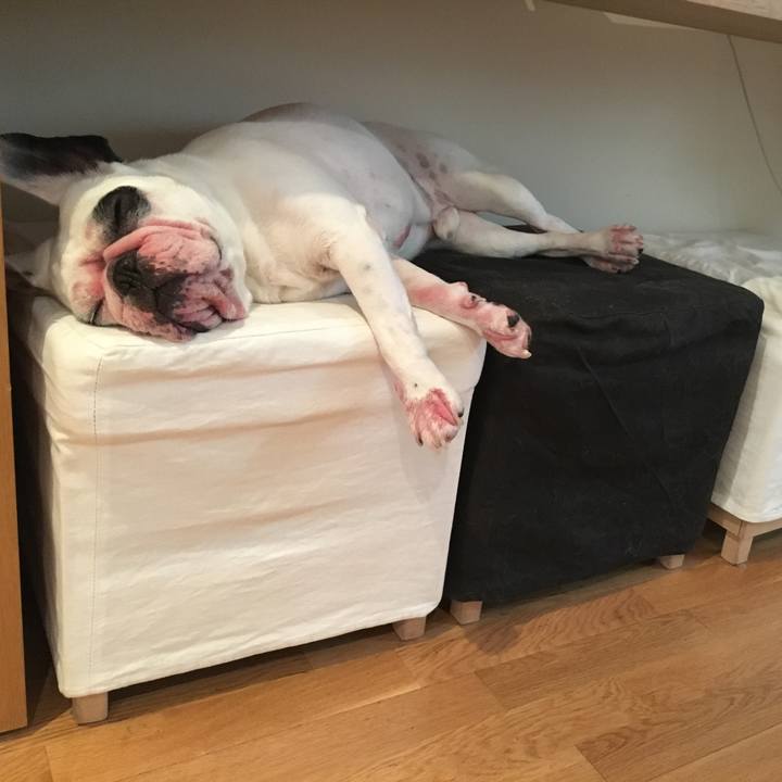 D05c63e3 162d 4b66 88a2 4a3689b9a94e