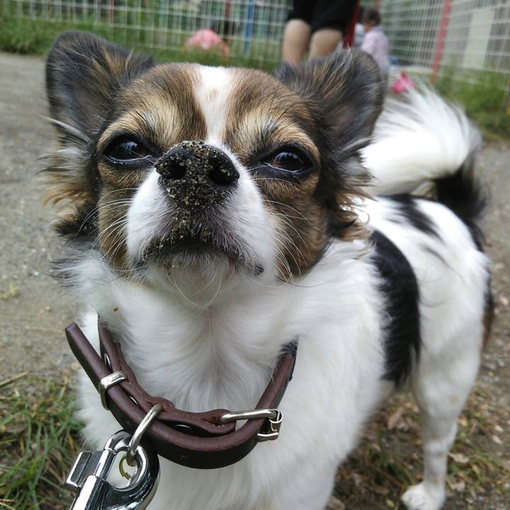 D05c8739 597d 48a0 a1dc 9439688782aa