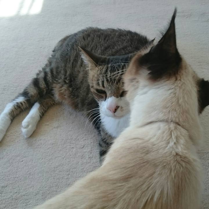 D05d3378 c60e 4e2c 8dc5 a60f19c5293d