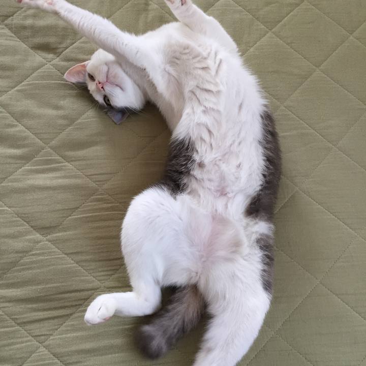 D05da7a5 8466 4411 92d4 71fa6be004d4