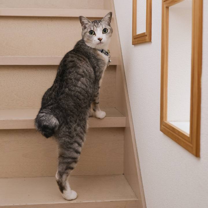 D05ddaa0 989f 4105 ba82 4241fe757023