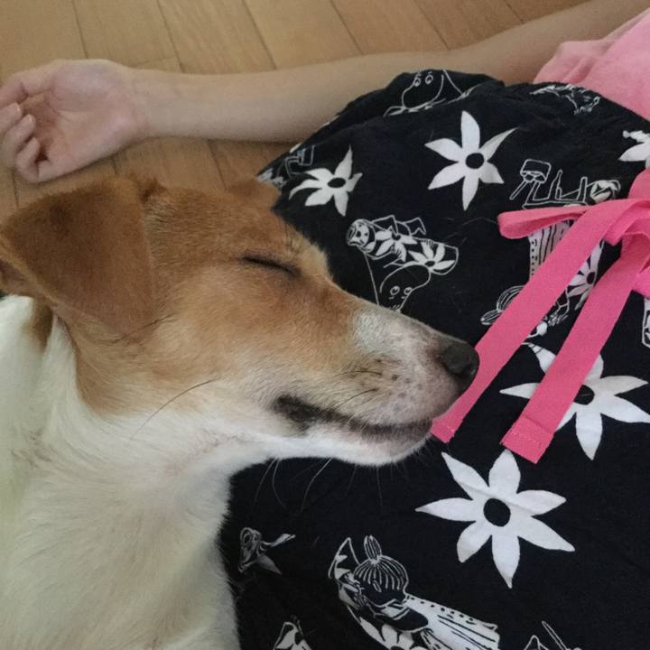 D05e0648 32ec 4f81 bcf2 be930ed94f6e