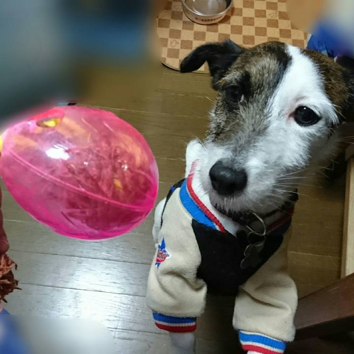 D05eb4c6 5ab5 421b b76c 5593b4168539