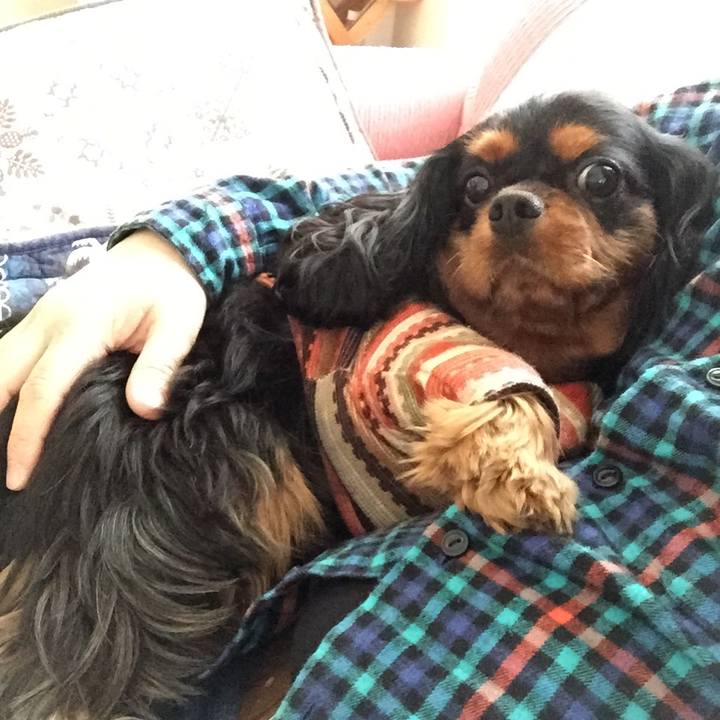 D05fe43a c702 4791 af15 e85eb7ed44ef