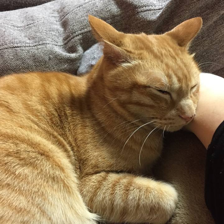 D0603942 bc73 406d 931f de639c4b3124