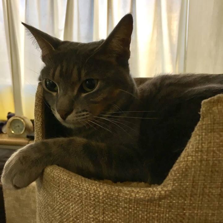 D06069ee 3b12 46c2 beff da3d3f3d03a0