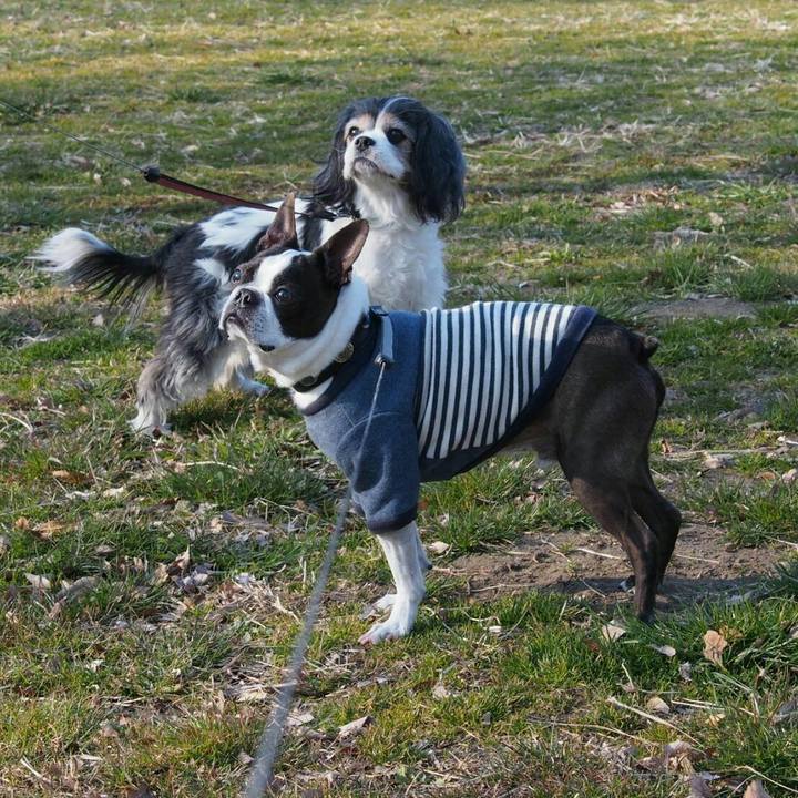 D060c40b 22df 4cf5 9c03 c89769cec6a4