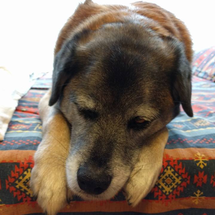 D060f3fd f043 4fd3 81c5 5f005135988d