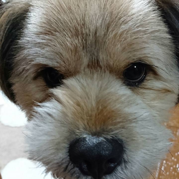 D060fd88 209f 4526 9a69 da04be0b7b8b