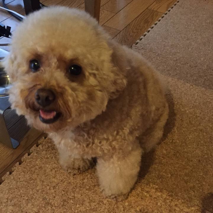 D0617fa4 44c0 460c b620 3e2996396a1b