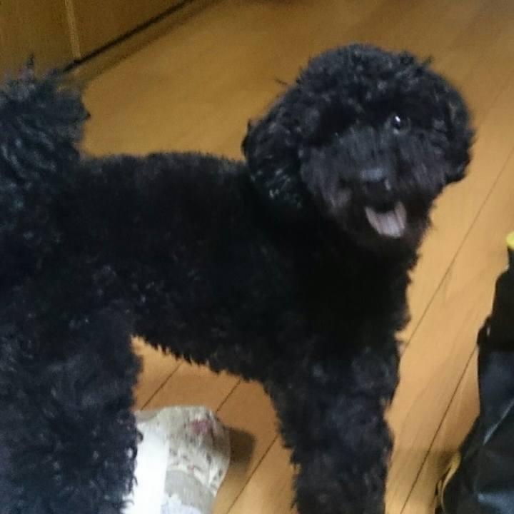 D06200ae adeb 49a6 abd4 2c8a2de59264