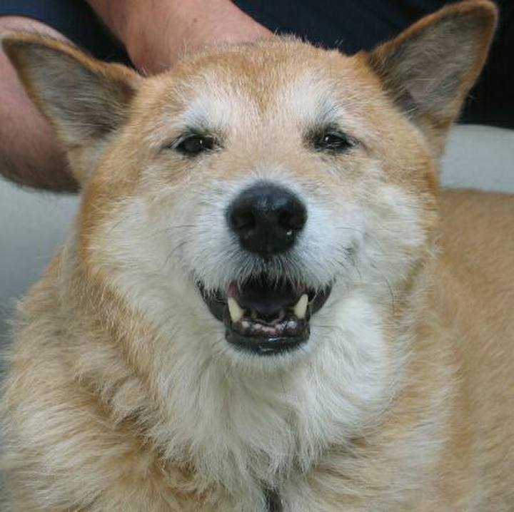 D06287ed 98ed 40fc b066 30050d0f5de9