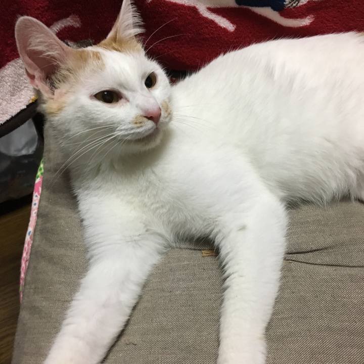 D06295f1 1dc1 435c 93b1 70a1ef1e64c8