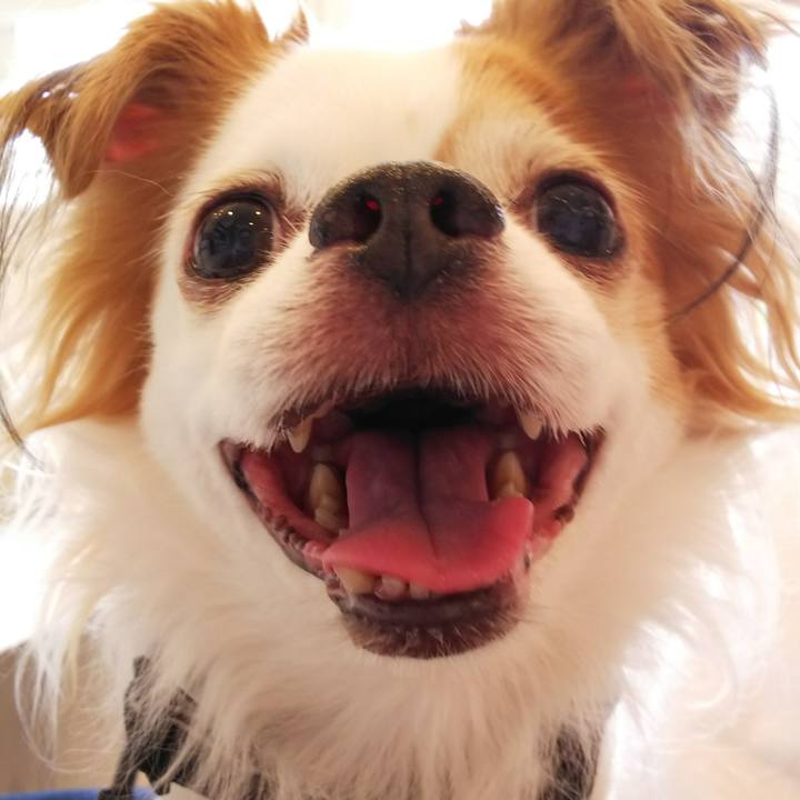 D062a982 2728 49ea a84b a1fcfcafeb9f