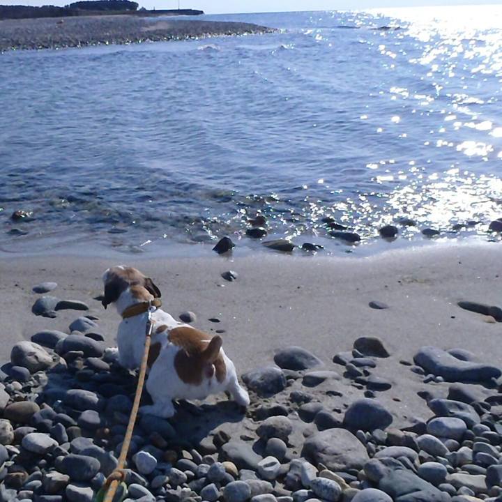 D0634aea 8f04 4150 8a5f dd43bbdd5182