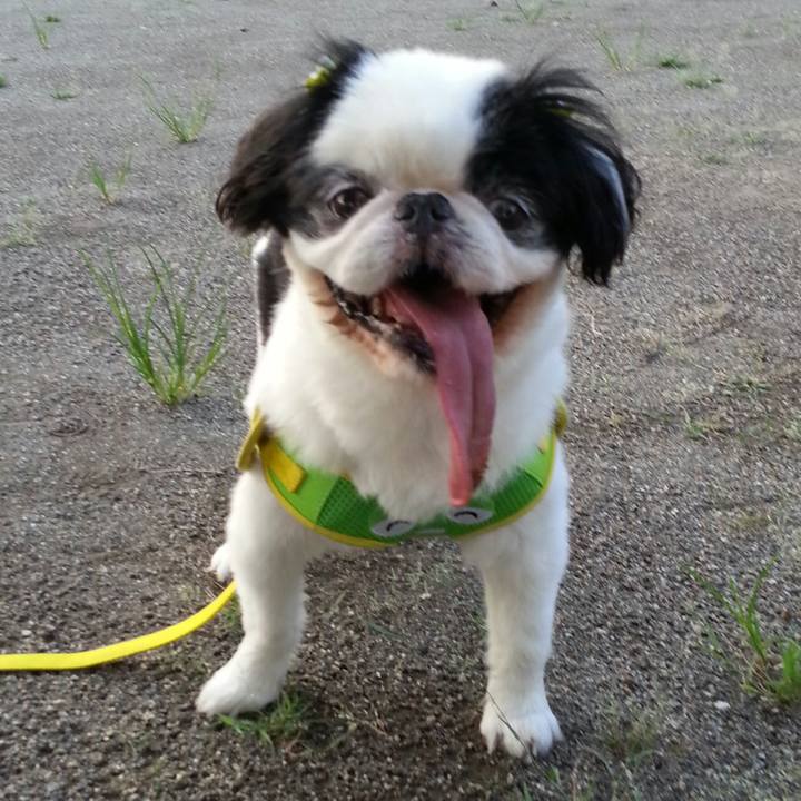 D06378fb f069 4a28 a29c 3c0fbdcf36f3