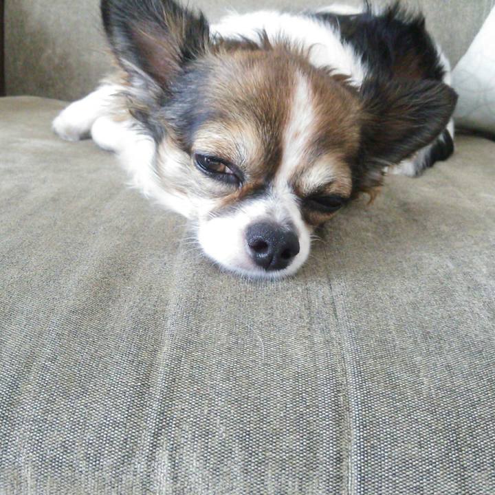 D063bd21 8999 4446 8930 1c77ff0241ef