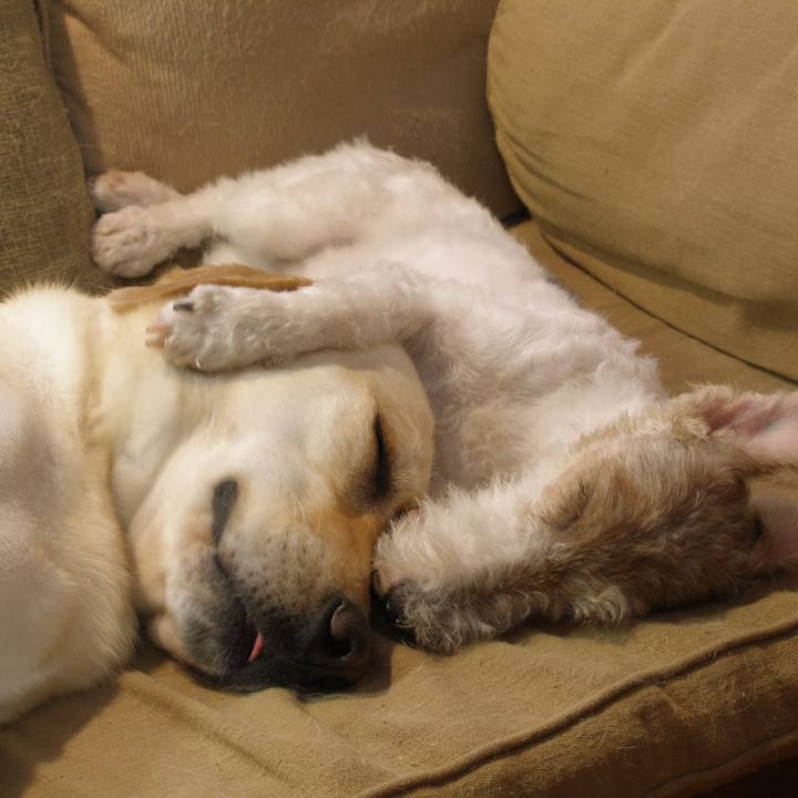 D063db2a d70d 40df ac0c 19bff3e6b71d