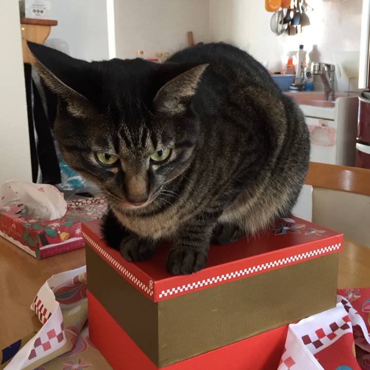 D063deb7 1d1e 4630 996c 55ecfd9c1316