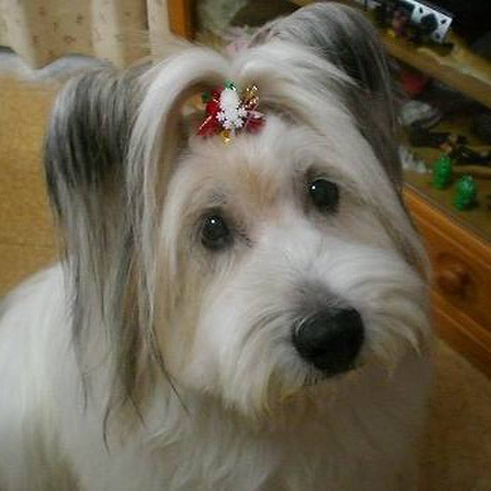 D0643963 cd65 4a2a 8c6d 26ce72a7589d