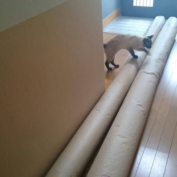 D0647c8e ad71 464e a864 3371b9808a18