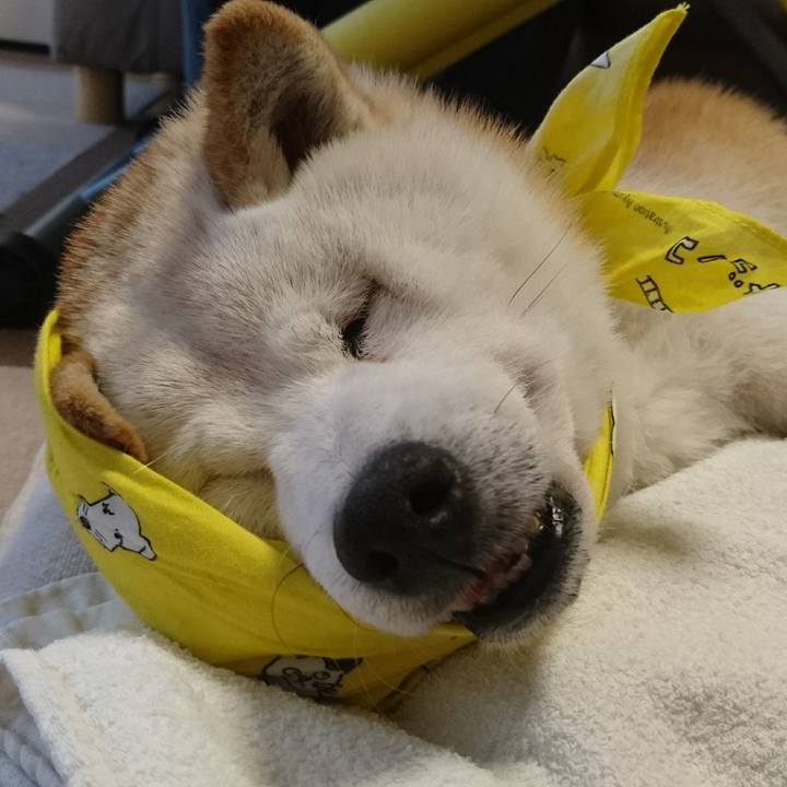 D064a8e0 97ac 43c0 ad90 a43591d12d29