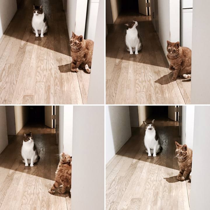 D064f007 882b 4e76 a96e 8648a713fa58