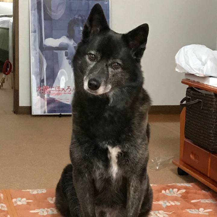 D06560be 798d 4590 905d 20717dee7843