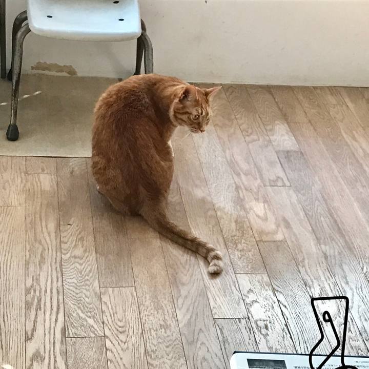 D065e08d 4cd1 48d7 851d 6a5e135651ac