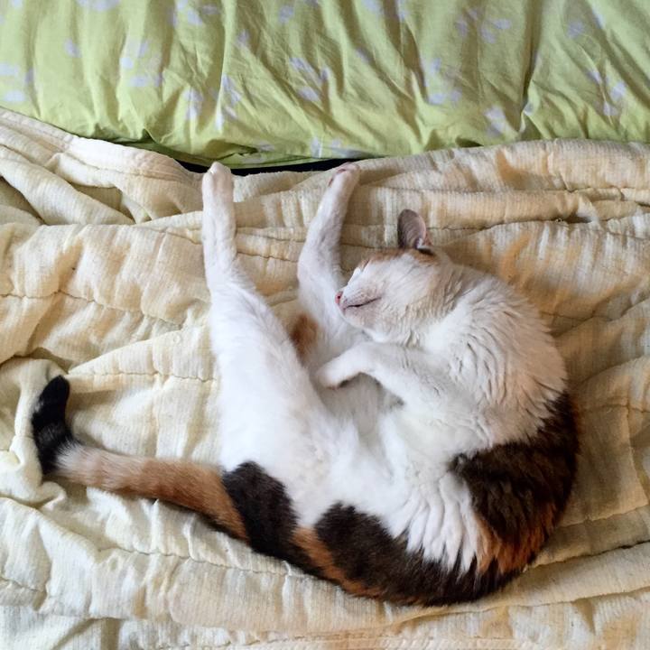 D0664b2f 6829 4e69 b025 22d60b851d16