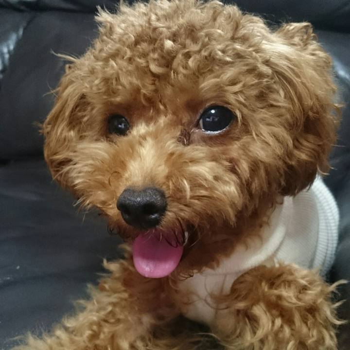 D06650a7 6b13 40ba 8816 8349e61773de