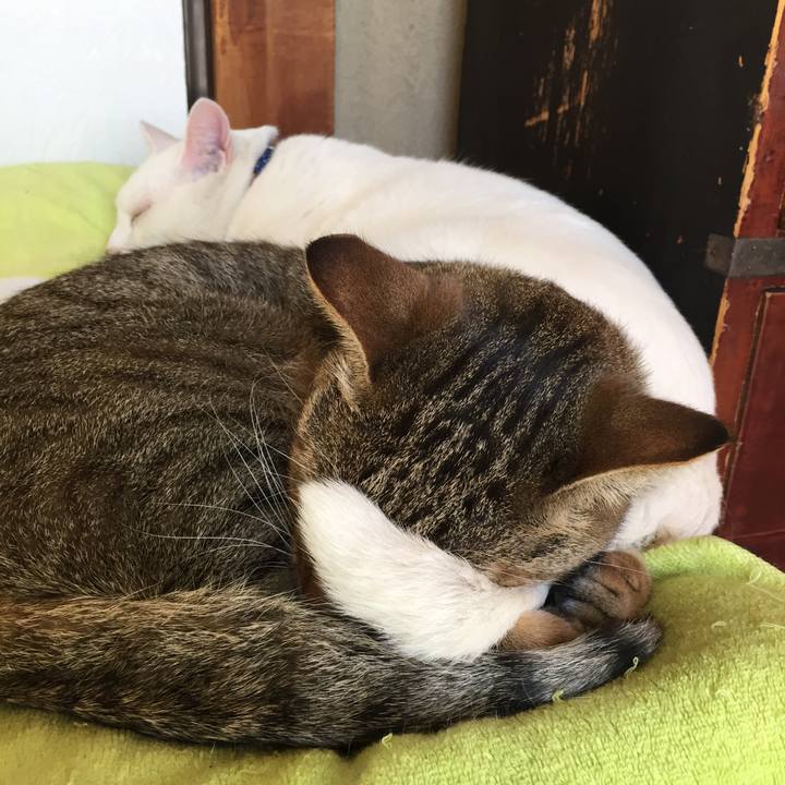 D066e094 9b3c 4088 bfb8 9edd5d93afd6