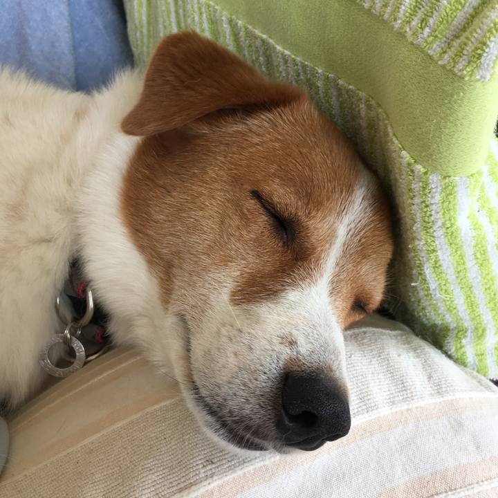 D067b013 769e 4e88 8b51 6f54b83d7b98