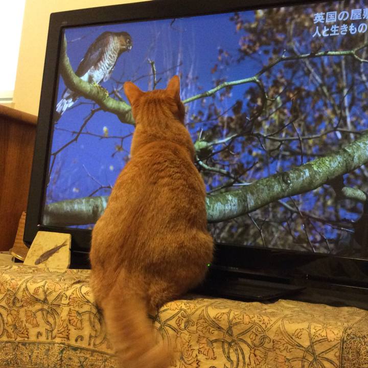 D067c884 d4f2 4114 8bd4 15401961802c