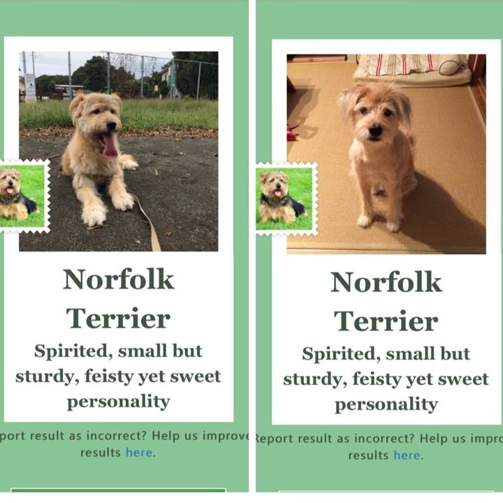 D067ed9a 7709 456f 95c8 fdeaa0cf41dd